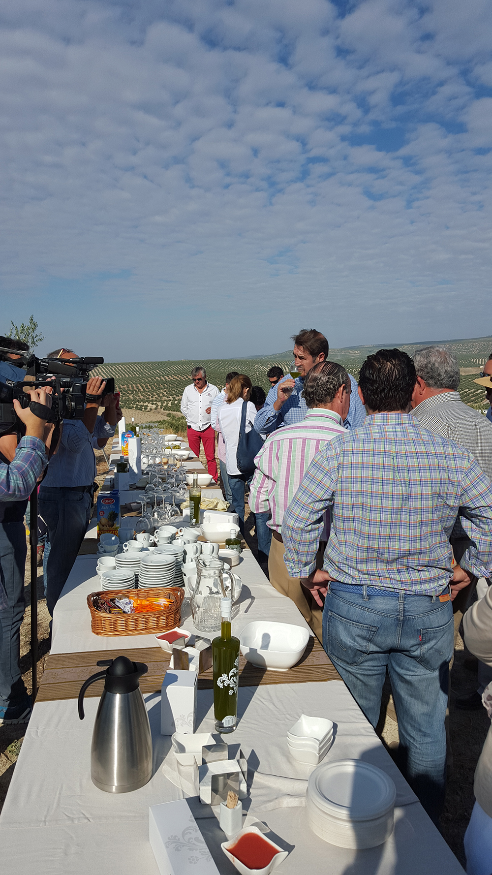 OLEOTURISMO EN JAEN - RUTAS DEL OLIVO
