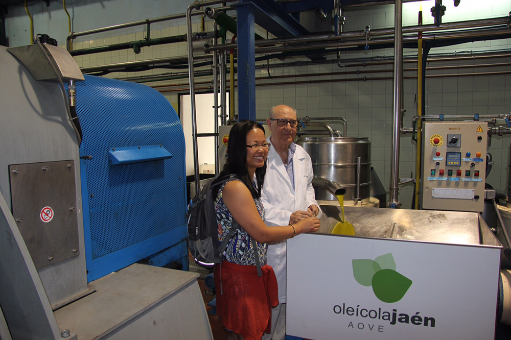 Visitas a almazaras: descubre el proceso del aceite de oliva con Rutas del Olivo