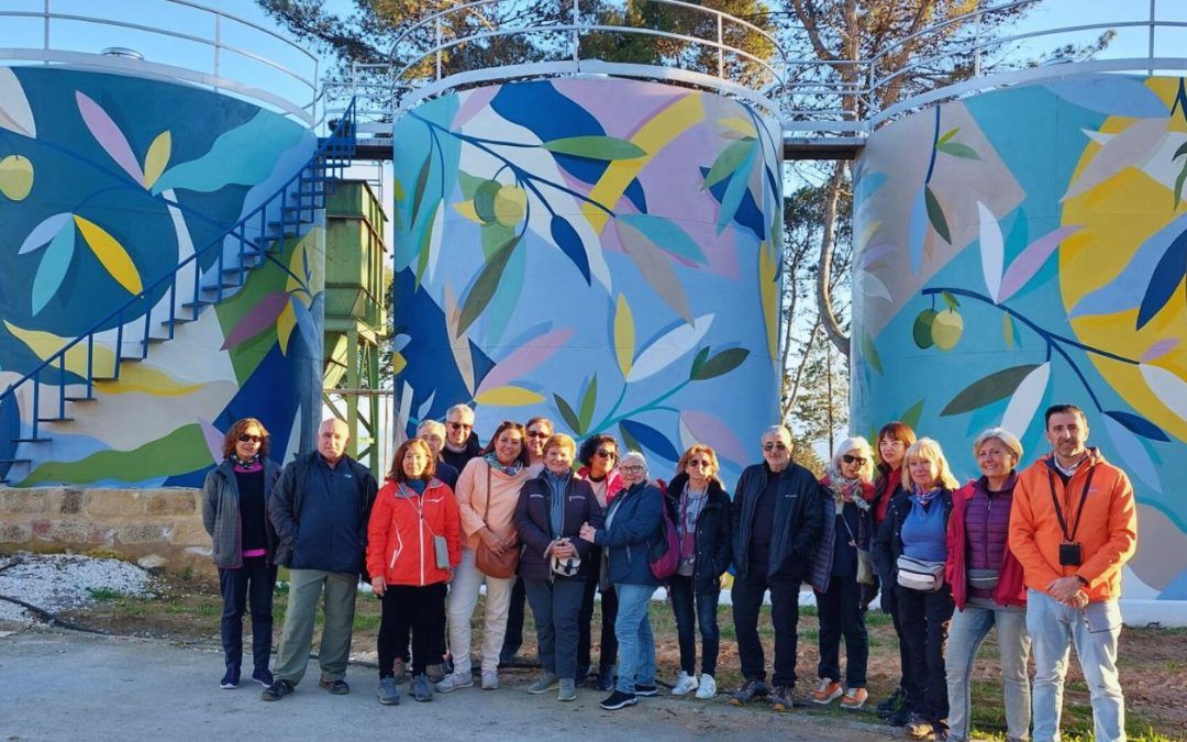 Experiencias de Oleoturismo en Jaén: vive la esencia del aceite de oliva en el corazón del mar de olivos