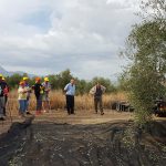 visita a fincas - rutas del olivo - oleoturismo