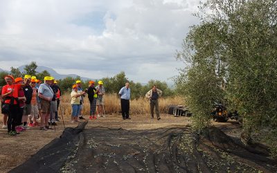 Visitas a fincas: una experiencia única para grupos