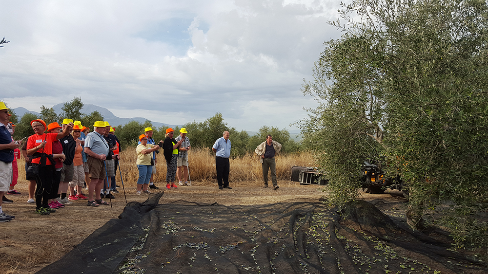 Visitas a fincas: una experiencia única para grupos