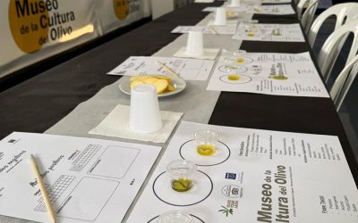 Cata de aceite: el arte de conocer el auténtico AOVE de Jaén