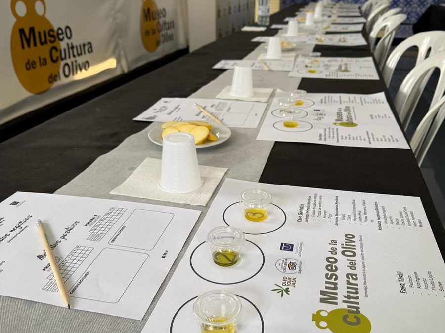 Cata de aceite: el arte de conocer el auténtico AOVE de Jaén