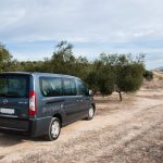 Visita a fincas de olivares: una experiencia auténtica entre los campos de Jaén